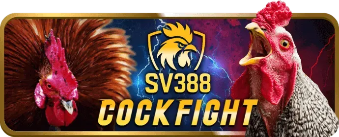 Cá cược thể thao rich88 game